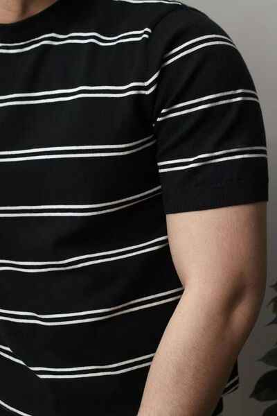 Men's Plus Size Round Neck Striped T-Shirt - Damned Threads
